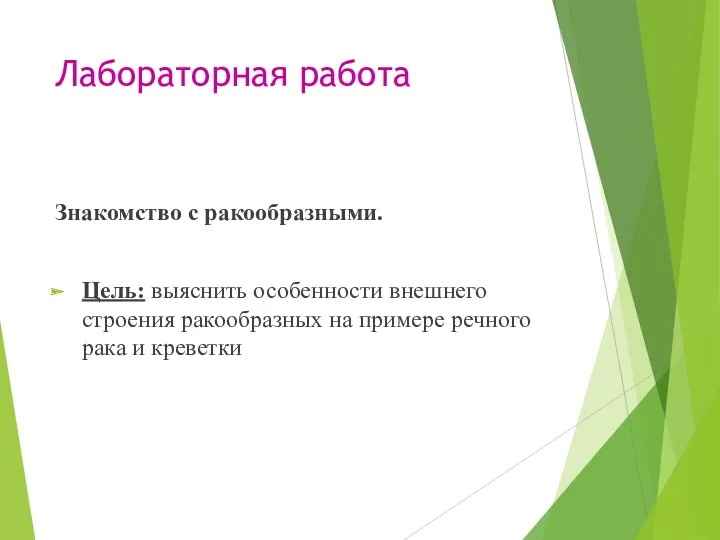 Лабораторная работа Знакомство с ракообразными. Цель: выяснить особенности внешнего строения