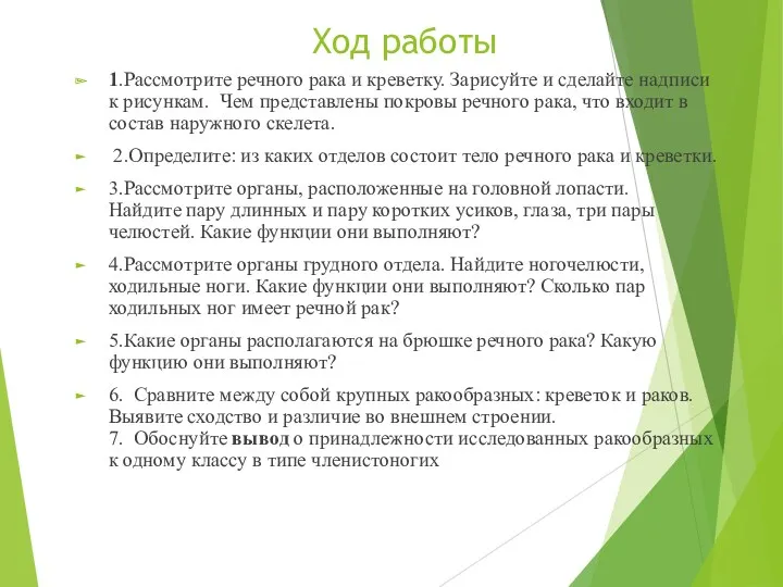 Ход работы 1.Рассмотрите речного рака и креветку. Зарисуйте и сделайте