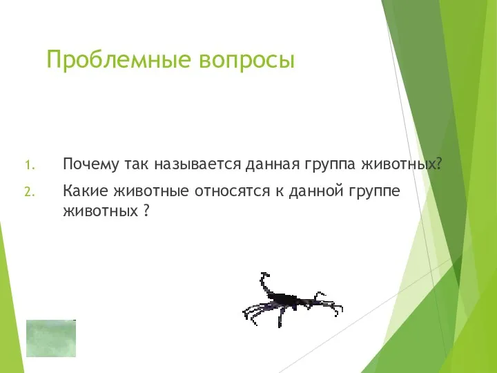 Проблемные вопросы Почему так называется данная группа животных? Какие животные относятся к данной группе животных ?