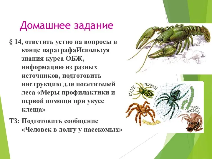 Домашнее задание § 14, ответить устно на вопросы в конце