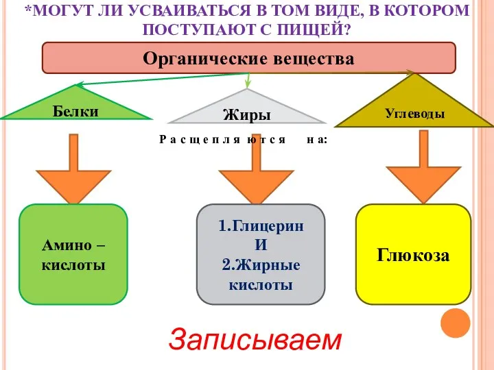 *МОГУТ ЛИ УСВАИВАТЬСЯ В ТОМ ВИДЕ, В КОТОРОМ ПОСТУПАЮТ С