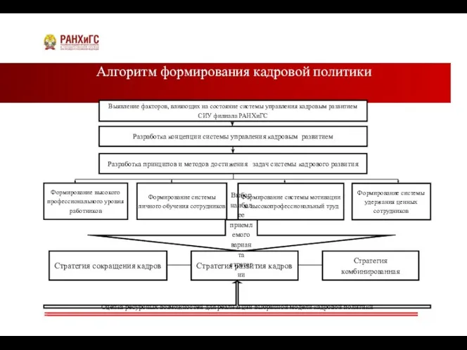 Алгоритм формирования кадровой политики