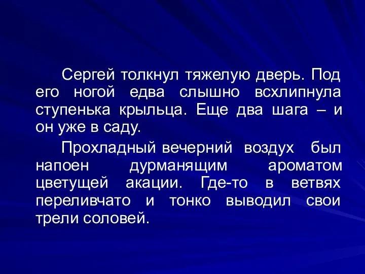 Сергей толкнул тяжелую дверь. Под его ногой едва слышно всхлипнула