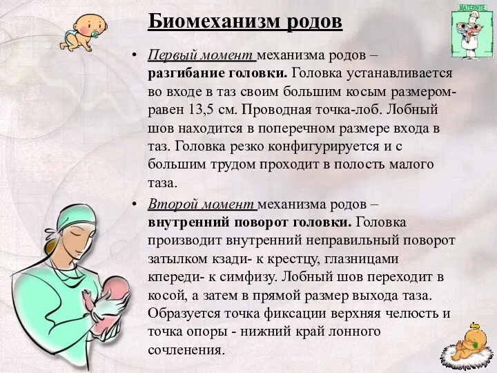 Биомеханизм родов Первый момент механизма родов – разгибание головки. Головка