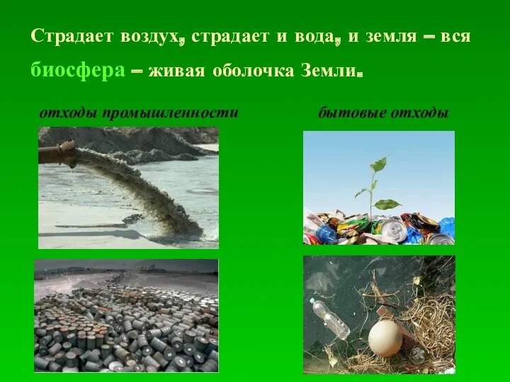 Страдает воздух, страдает и вода, и земля – вся биосфера