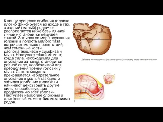 К концу процесса сгибания головка плотно фиксируется во входе в