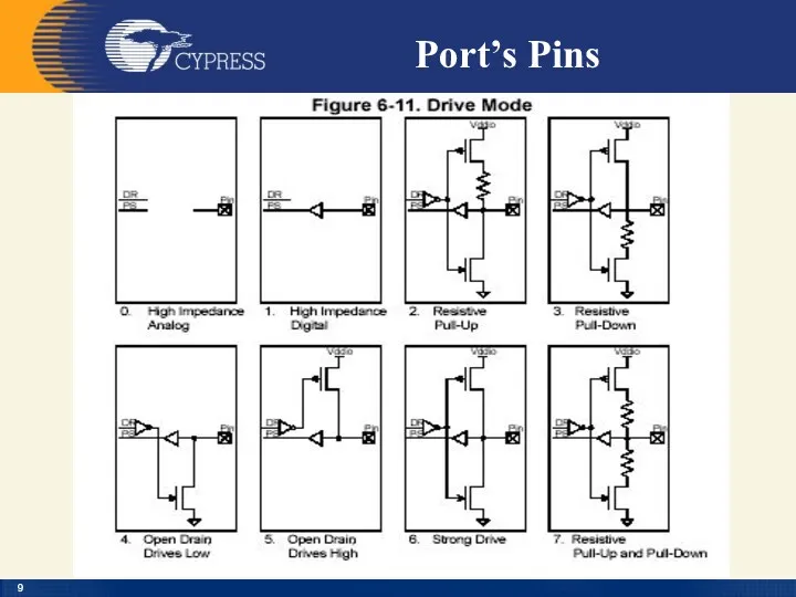 Port’s Pins