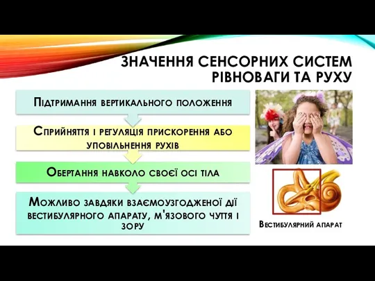 ЗНАЧЕННЯ СЕНСОРНИХ СИСТЕМ РІВНОВАГИ ТА РУХУ Вестибулярний апарат