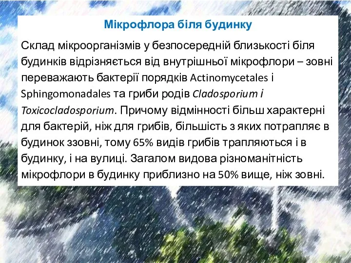 Мікрофлора біля будинку Склад мікроорганізмів у безпосередній близькості біля будинків