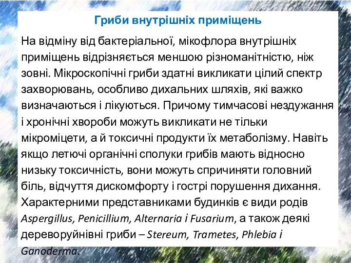 Гриби внутрішніх приміщень На відміну від бактеріальної, мікофлора внутрішніх приміщень