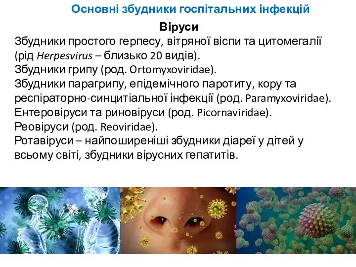 Основні збудники госпітальних інфекцій Віруси Збудники простого герпесу, вітряної віспи