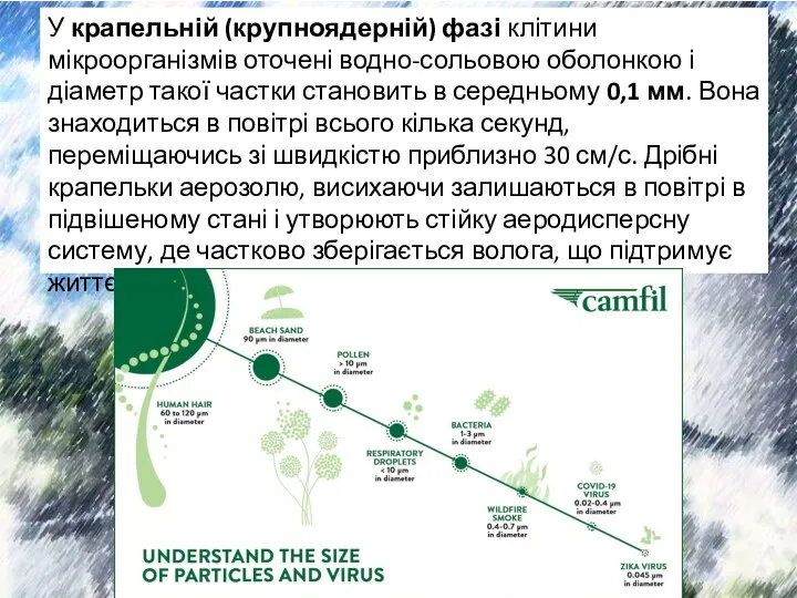 У крапельній (крупноядерній) фазі клітини мікроорганізмів оточені водно-сольовою оболонкою і