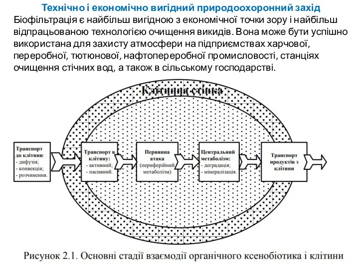 Технічно і економічно вигідний природоохоронний захід Біофільтрація є найбільш вигідною