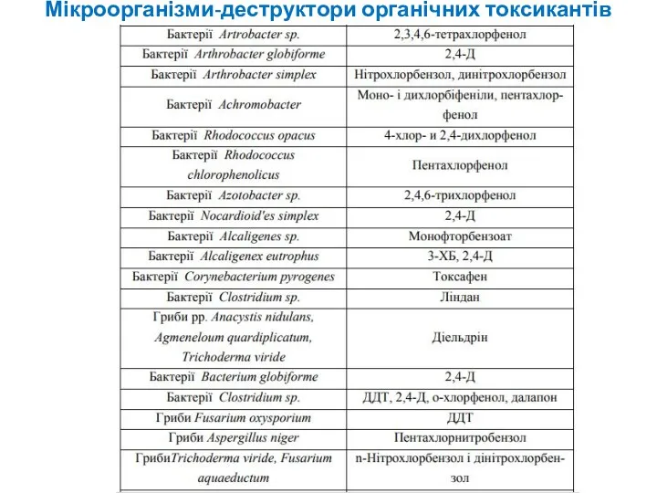 Мікроорганізми-деструктори органічних токсикантів