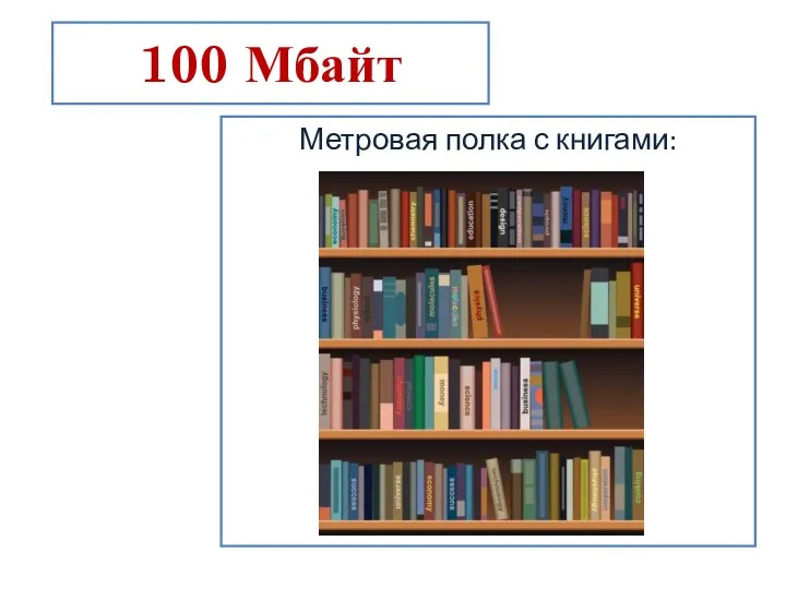 100 Мбайт Метровая полка с книгами: