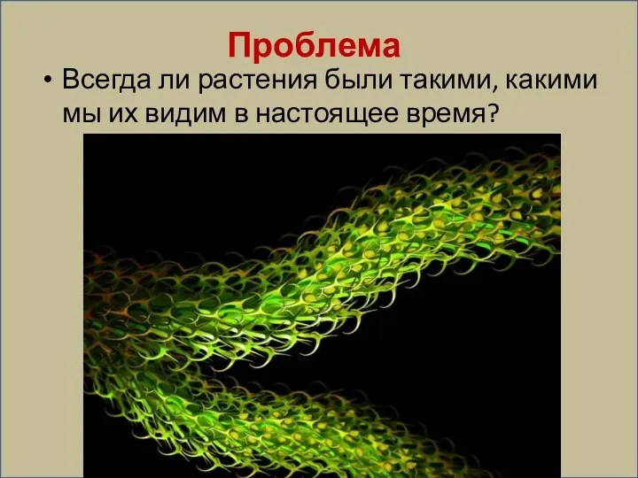 Проблема Всегда ли растения были такими, какими мы их видим в настоящее время?