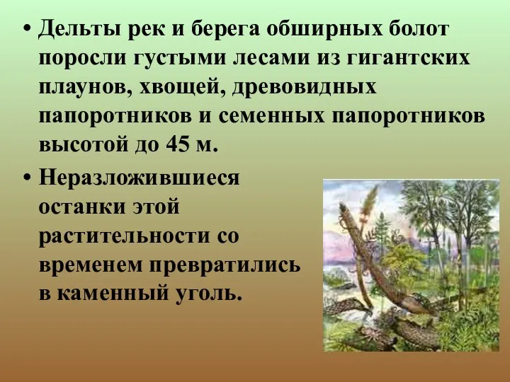 Дельты рек и берега обширных болот поросли густыми лесами из