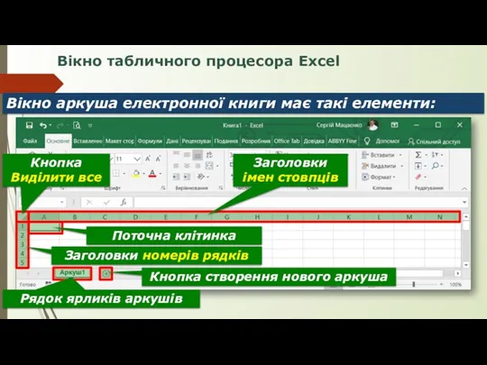 Вікно табличного процесора Excel Вікно аркуша електронної книги має такі