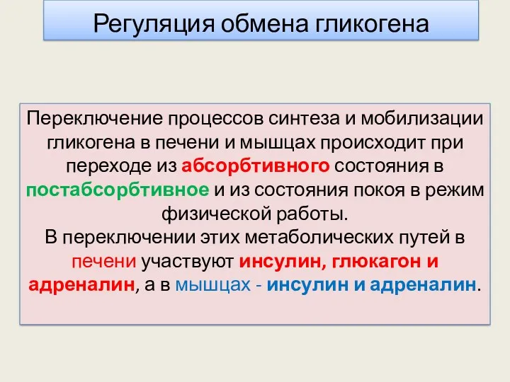 Переключение процессов синтеза и мобилизации гликогена в печени и мышцах