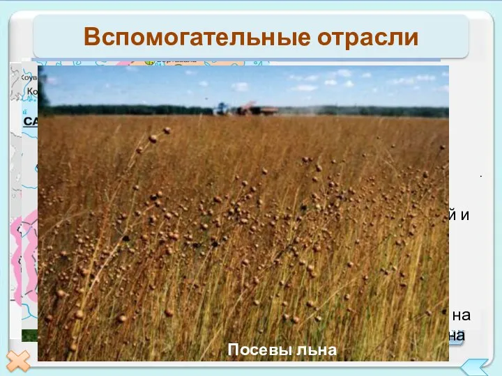 Вспомогательные отрасли Топливно-энергетический комплекс Агропромышленный комплекс