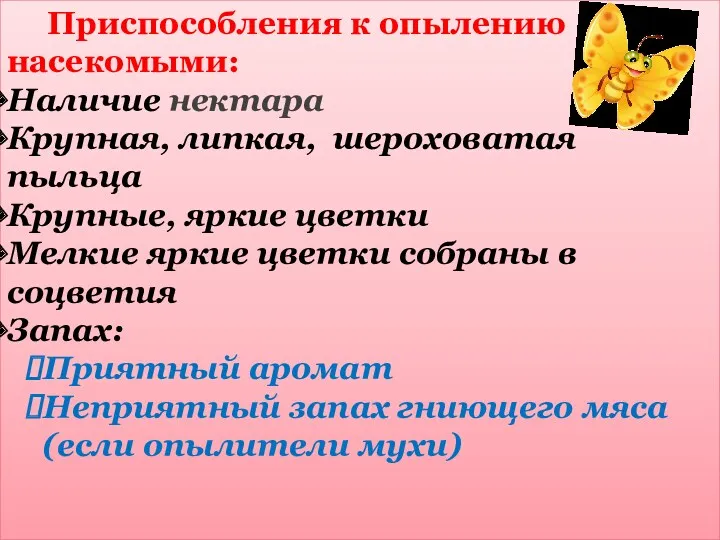 Приспособления к опылению насекомыми: Наличие нектара Крупная, липкая, шероховатая пыльца