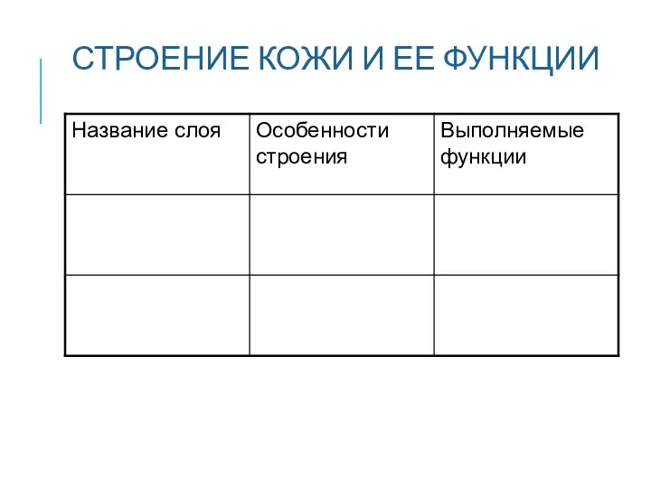 СТРОЕНИЕ КОЖИ И ЕЕ ФУНКЦИИ