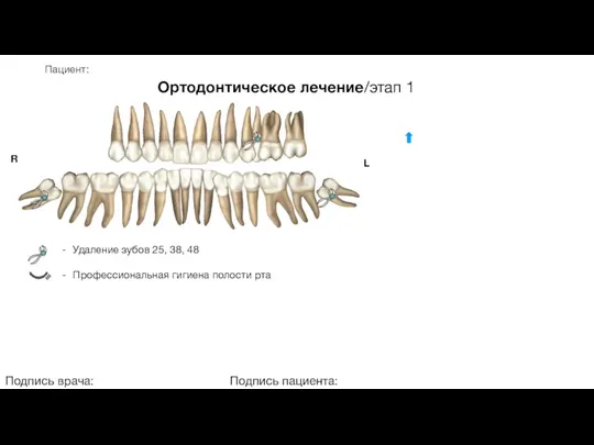 Пациент: Ортодонтическое лечение/этап 1 Подпись врача: Подпись пациента: R L