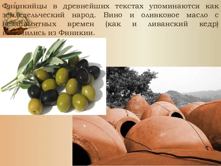 Финикийцы в древнейших текстах упоминаются как земледельческий народ. Вино и