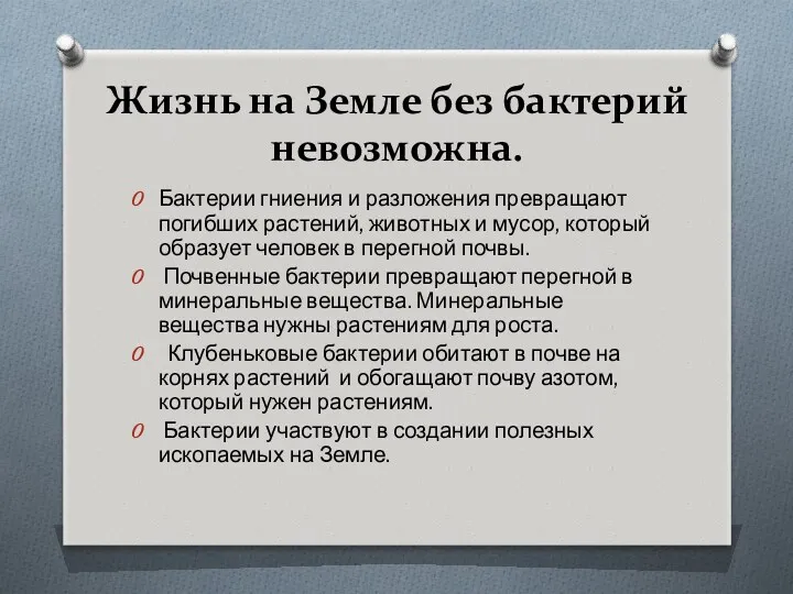 Жизнь на Земле без бактерий невозможна. Бактерии гниения и разложения