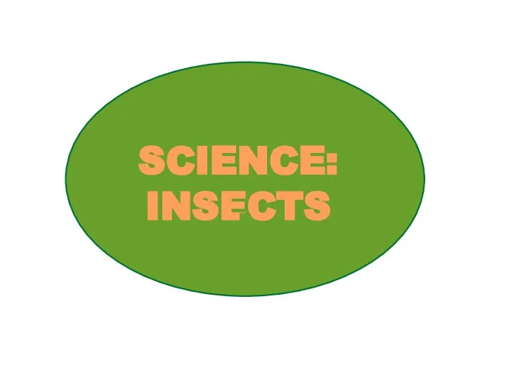 Science: insects