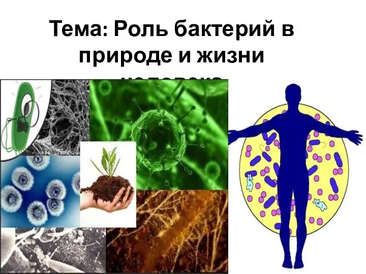 Тема: Роль бактерий в природе и жизни человека