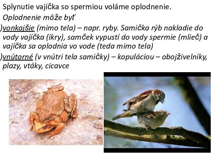 Splynutie vajíčka so spermiou voláme oplodnenie. Oplodnenie môže byť vonkajšie (mimo tela) –