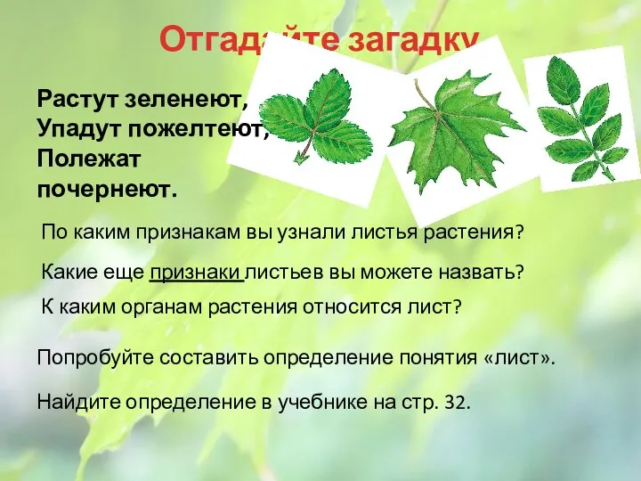 Отгадайте загадку. Найдите определение в учебнике на стр. 32. Растут