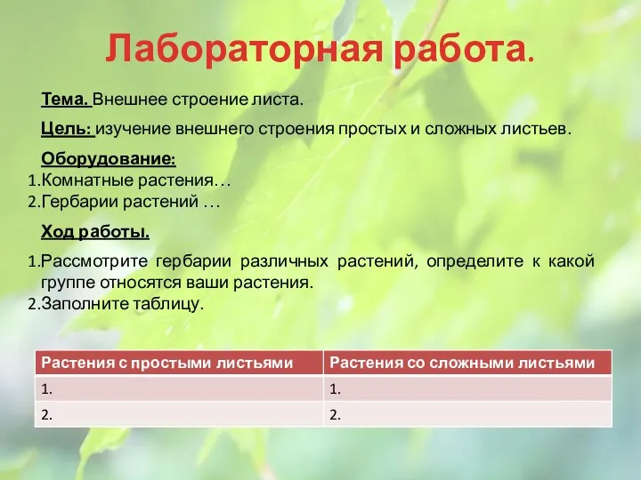 Лабораторная работа. Тема. Внешнее строение листа. Цель: изучение внешнего строения