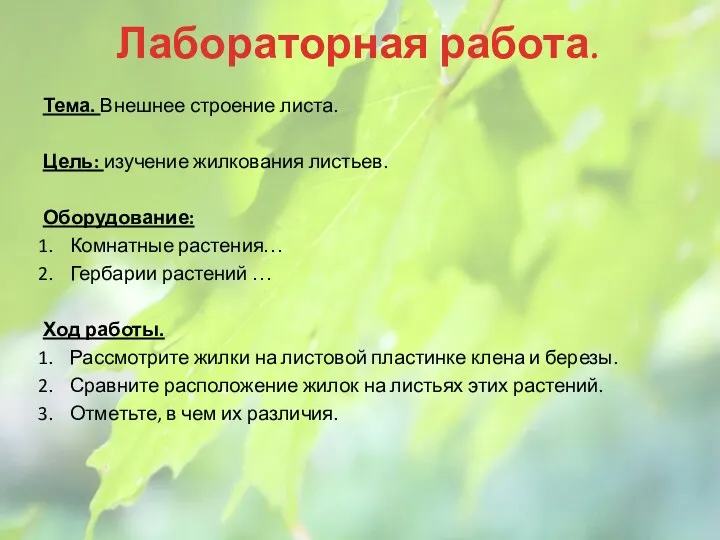 Лабораторная работа. Тема. Внешнее строение листа. Цель: изучение жилкования листьев.