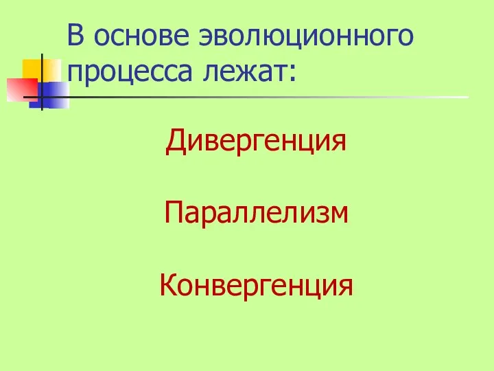 В основе эволюционного процесса лежат: Дивергенция Параллелизм Конвергенция