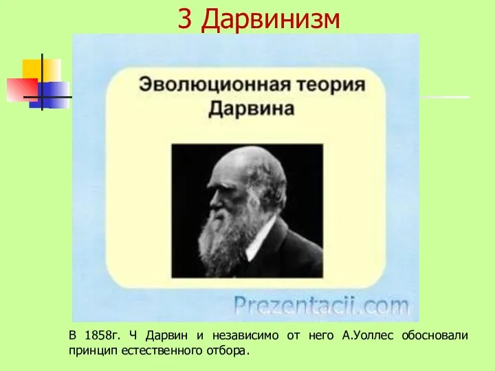 3 Дарвинизм В 1858г. Ч Дарвин и независимо от него А.Уоллес обосновали принцип естественного отбора.