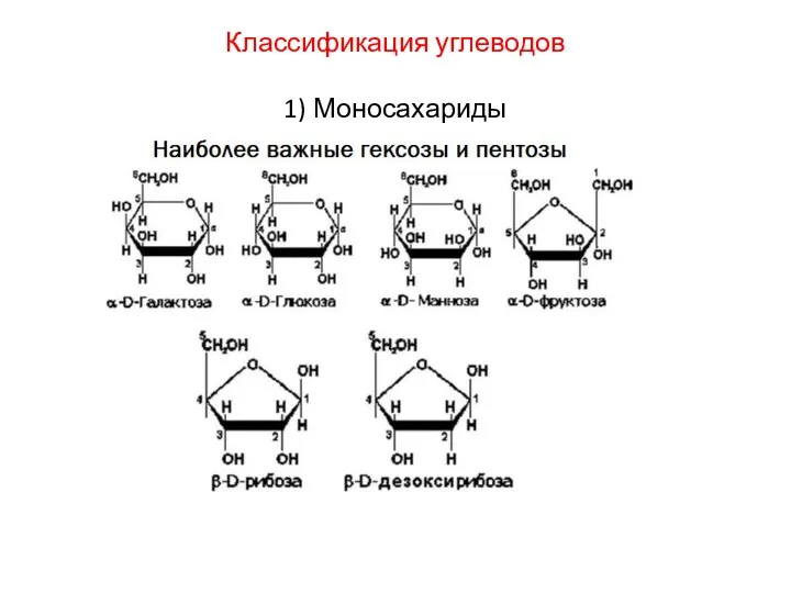 Классификация углеводов 1) Моносахариды