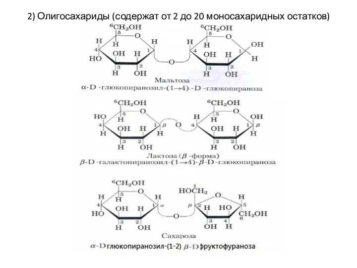 2) Олигосахариды (содержат от 2 до 20 моносахаридных остатков)