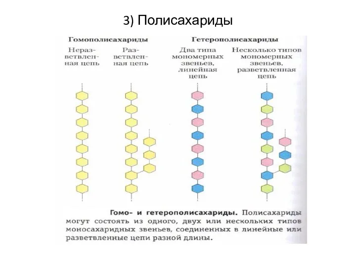 3) Полисахариды