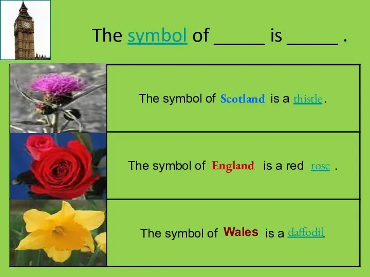 The symbol of _____ is _____ . Scotland England Wales thistle rose daffodil