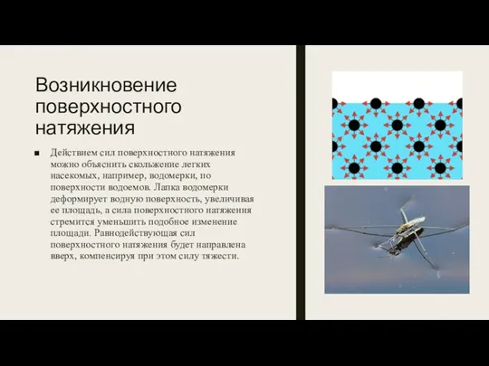 Возникновение поверхностного натяжения Действием сил поверхностного натяжения можно объяснить скольжение легких насекомых, например,