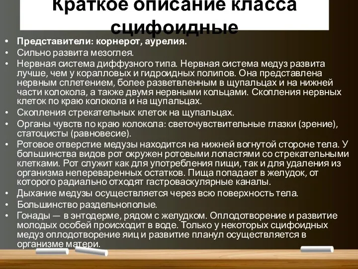 Краткое описание класса сцифоидные Представители: корнерот, аурелия. Сильно развита мезоглея.