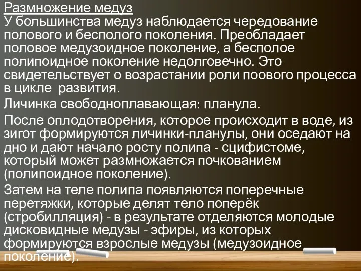 Размножение медуз У большинства медуз наблюдается чередование полового и бесполого