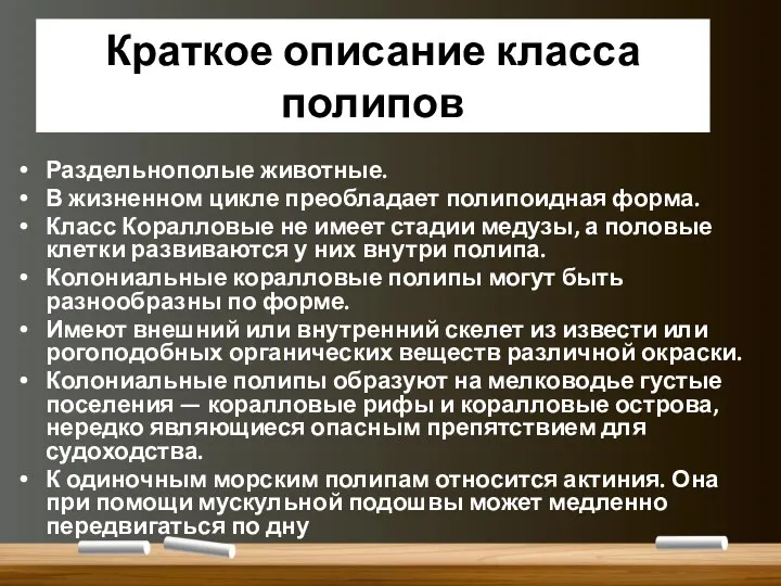 Краткое описание класса полипов Раздельнополые животные. В жизненном цикле преобладает