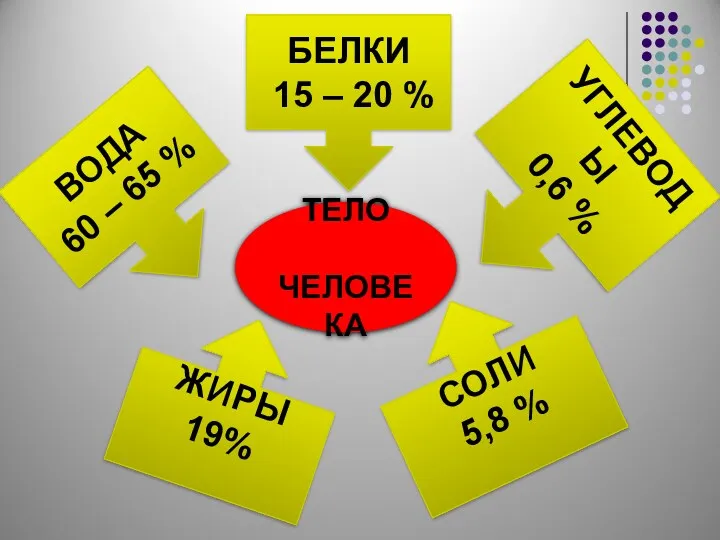 ТЕЛО ЧЕЛОВЕКА БЕЛКИ 15 – 20 % ВОДА 60 –