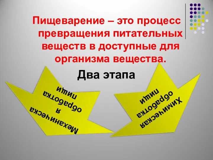 Пищеварение – это процесс превращения питательных веществ в доступные для