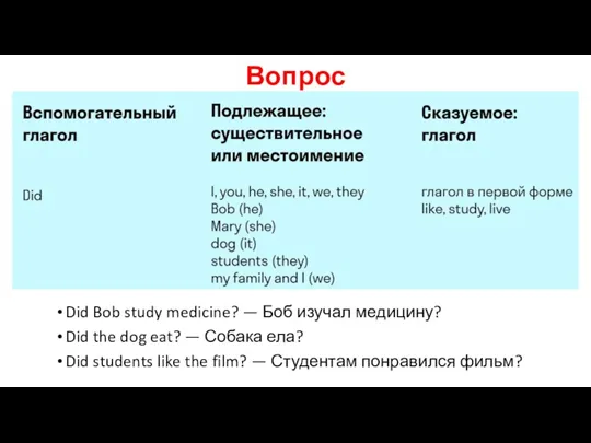 Вопрос Did Bob study medicine? — Боб изучал медицину? Did