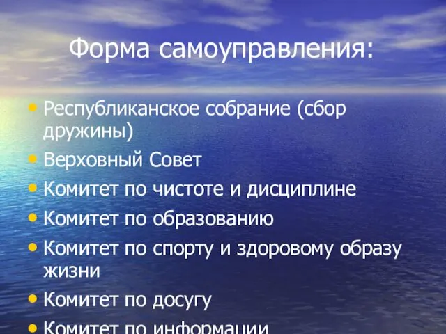 Форма самоуправления: Республиканское собрание (сбор дружины) Верховный Совет Комитет по чистоте и дисциплине