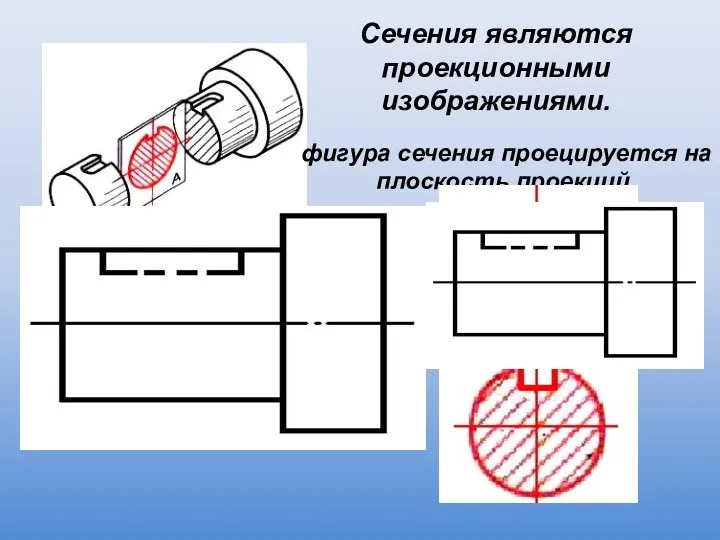 Сечения являются проекционными изображениями. фигура сечения проецируется на плоскость проекций.